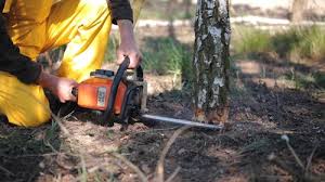 Soil Testing and Treatment in Leo Cedarville, IN